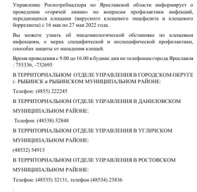 Профилактика клещевого энцефалита 